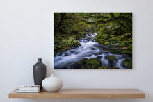 Load image into Gallery viewer, Riwaka River Resurgence
