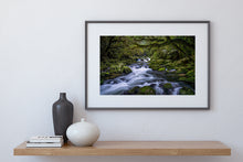 Load image into Gallery viewer, Riwaka River Resurgence