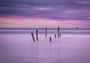 St Clair Dunedin Pink Dawn
