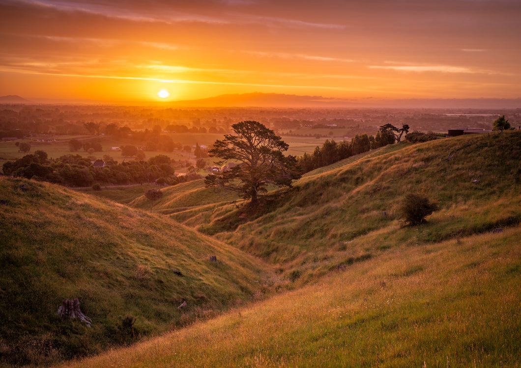 Waikato Golden Hills Sunset